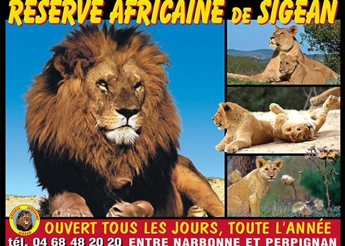 Le Mieukerien, Reserve Africaine 15 Mn Et Plage 200 M- Parking Dedie- Terrasse